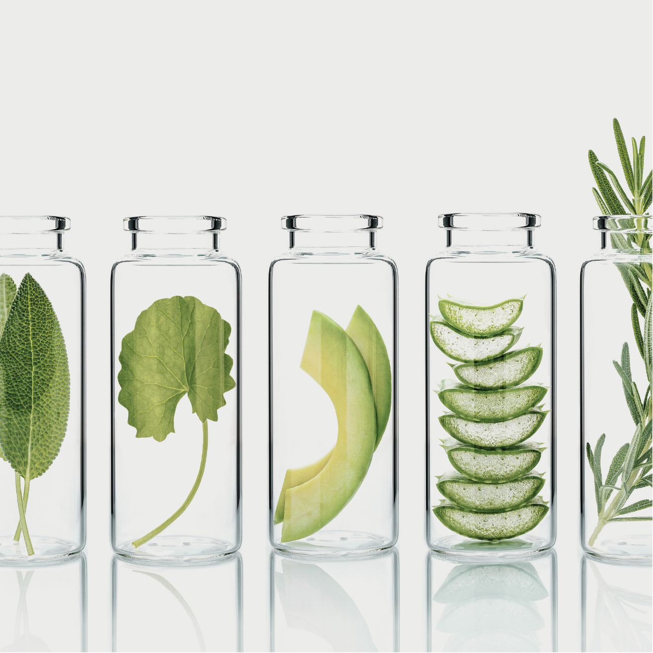 Understanding INCI Names and Identifying Common Essential Oils for INC ...