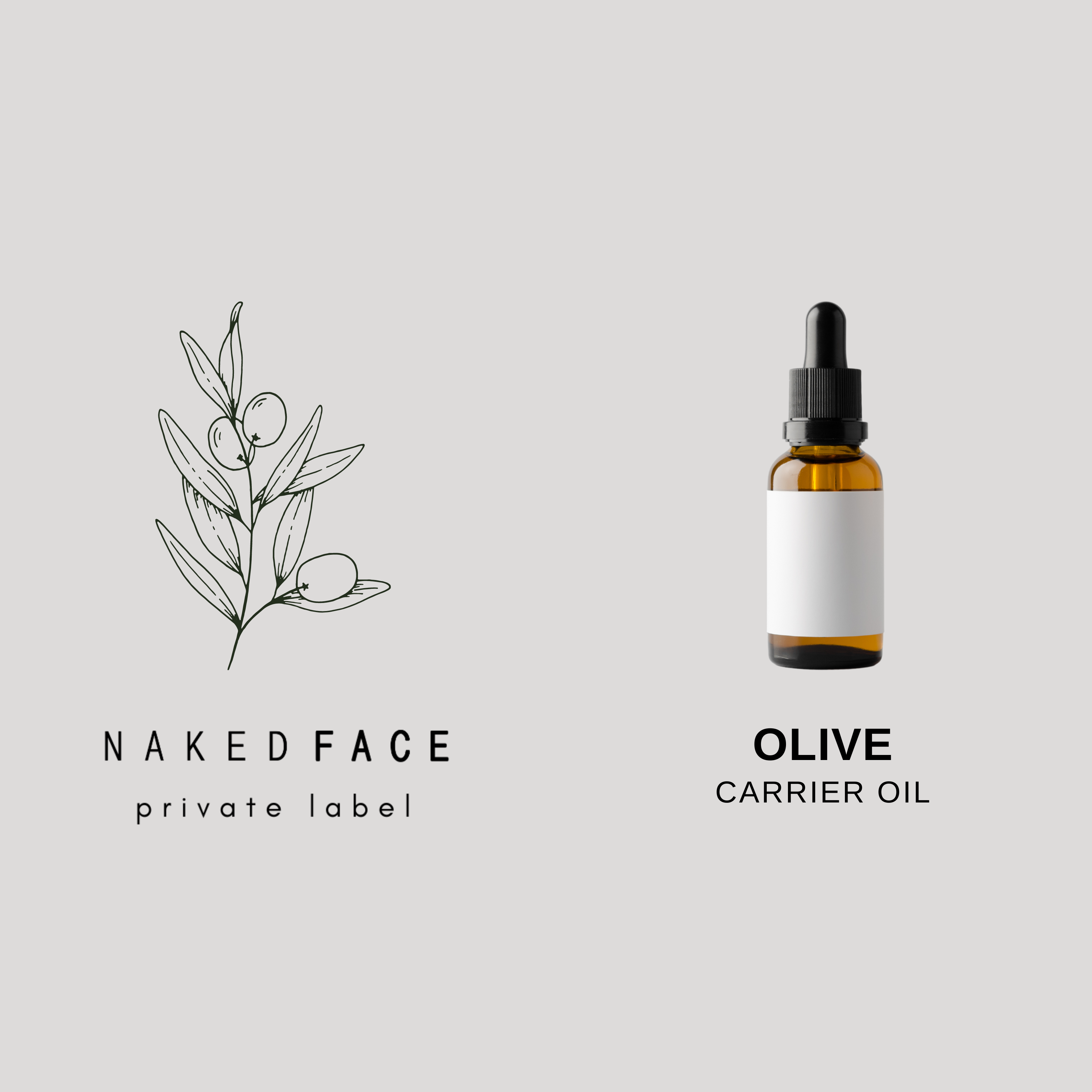 Olive is an extremely versatile oil. It is a favorite on both dry and irritated skin.