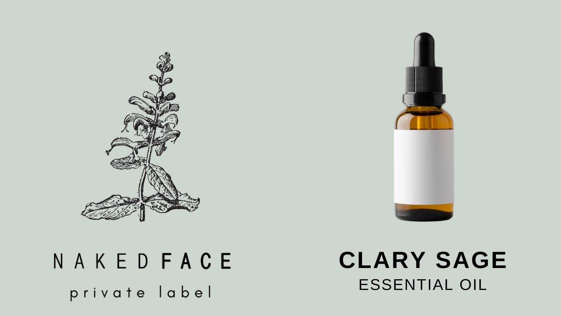 ESSENTIAL OIL - Clary Sage