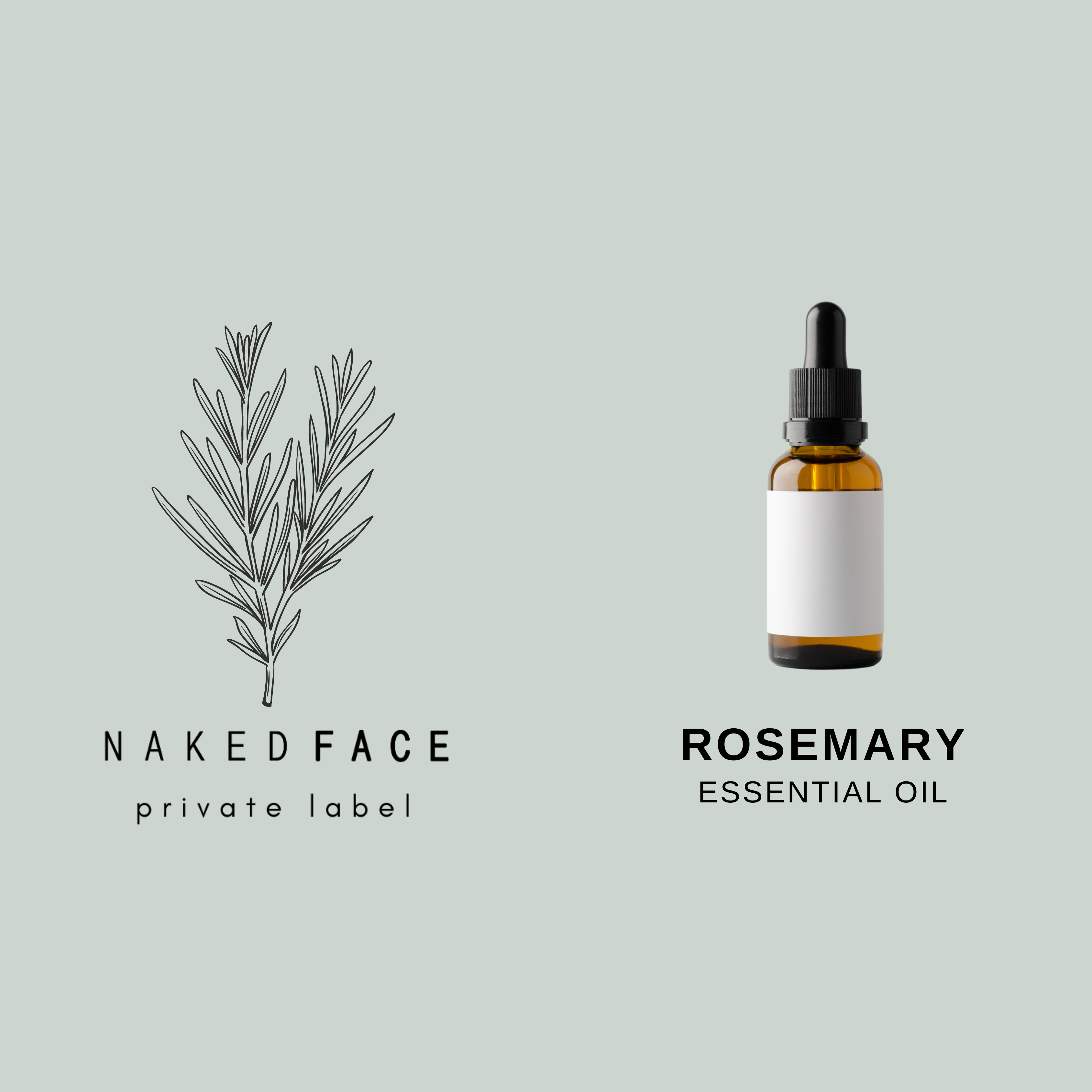 rosemary pure essential oil Private Label_system_cosmetic_skincare _laboratory_manufacture_stock_custom_formulation_recipe_base_formula_ingredient_scent_fragrance_label_design_printing_filling_for_retail_online_shop